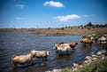 תחזית מזג האוויר ליום שני: חם מהרגיל ולח במישור החוף