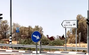 טענת החיילים החשודים: המחבל שעבר לכאורה התעללות – תקף לוחמים בבסיס