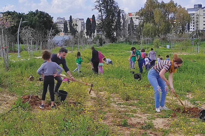 פרויקט צומח: “יער האקלים” – 14 אלף עצים ניטעו ברחבי הארץ