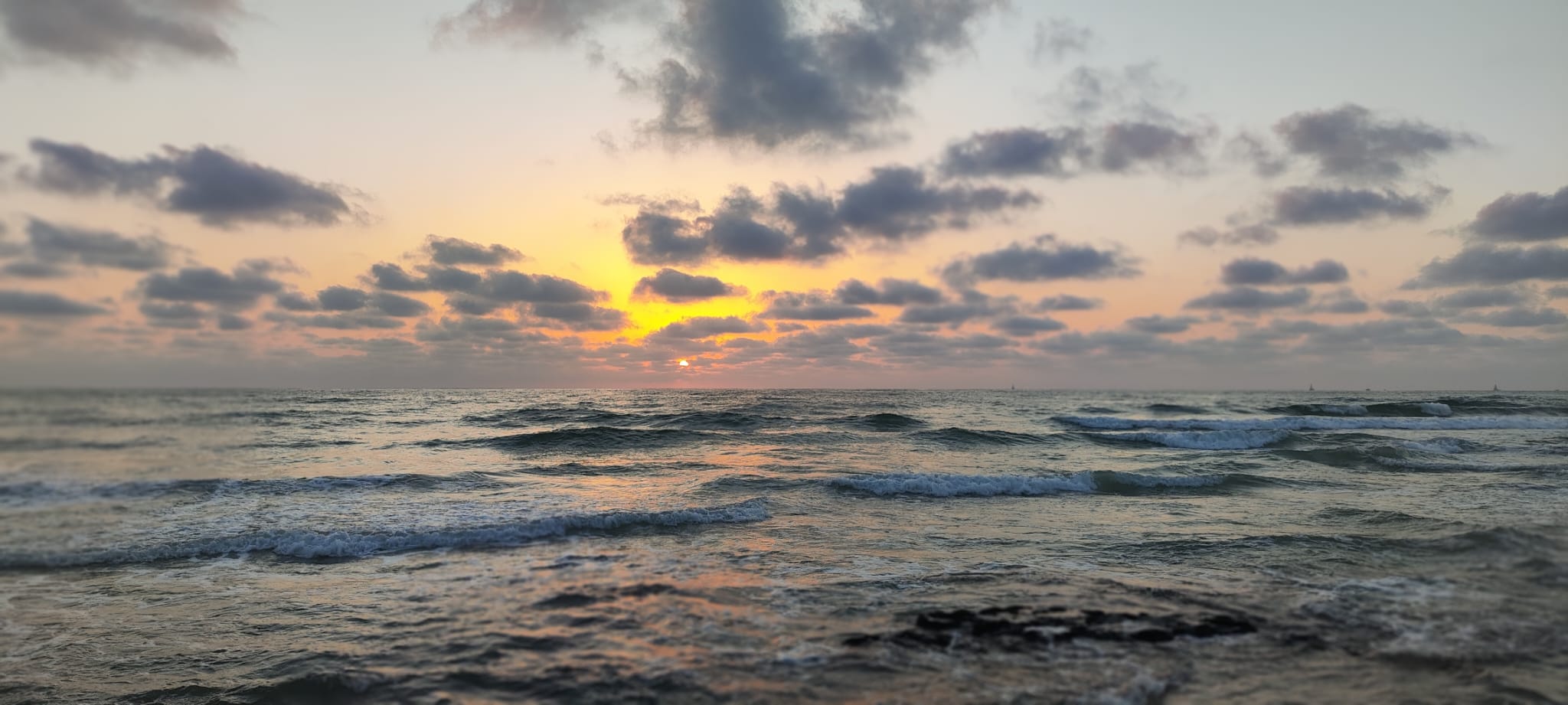 חם בהרים ובפנים הארץ; לחות גבוהה לאורך מישור החוף