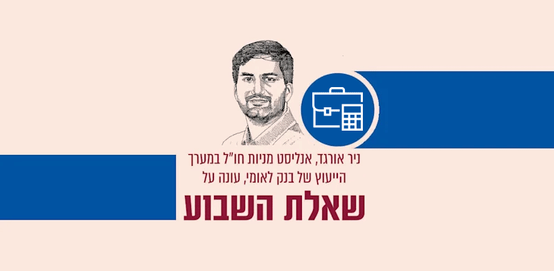 האם המקלט לתנודתיות בתיק ההשקעות נמצא באירופה?