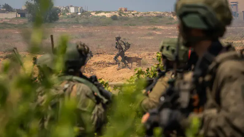 מכתב הצוערים לרמטכ”ל: “עדיין רחוקים מניצחון”