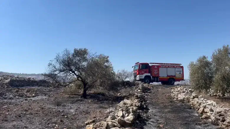 שריפה מסכנת את הישוב עינב בשומרון