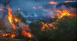 עיניים ללבנון: בצה”ל מוכנים למתקפת מנע מול חיזבאללה בתוך זמן קצר