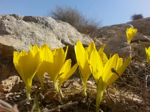 תגידו מזל טוב: הוכרזו שתי שמורות טבע וגן לאומי חדש בארץ