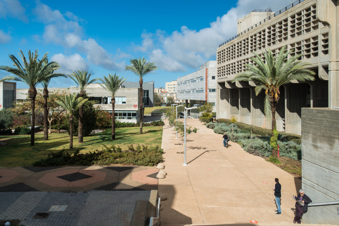 סטודנט בישראל שיתף הספד לאיסמעיל הנייה – כך הגיב הרקטור