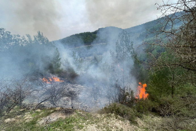 בצל ההמתנה לתגובת חיזבאללה, בצפון זועקים: “הממשלה לא מחוברת אלינו, הפסדנו בגדול”