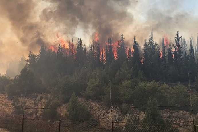 חשד להצתה: שריפת ענק פרצה בהרי ירושלים | צפו בתיעוד