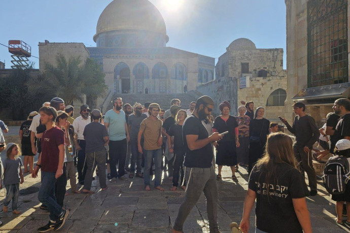 ישירות בבטן הרכה: התיעוד מהר הבית שמטריף את העולם הערבי | צפו