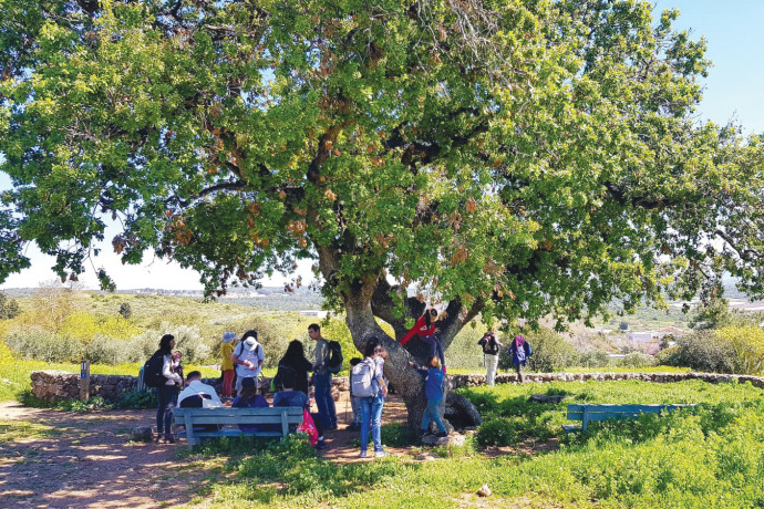 פארק רמת הנדיב מציג: העצמת הקהילה בדרך הטבע