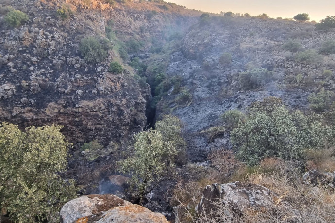 הצפון בוער: כ-200 אלף דונם נשרפו בצפון בעקבות הלחימה