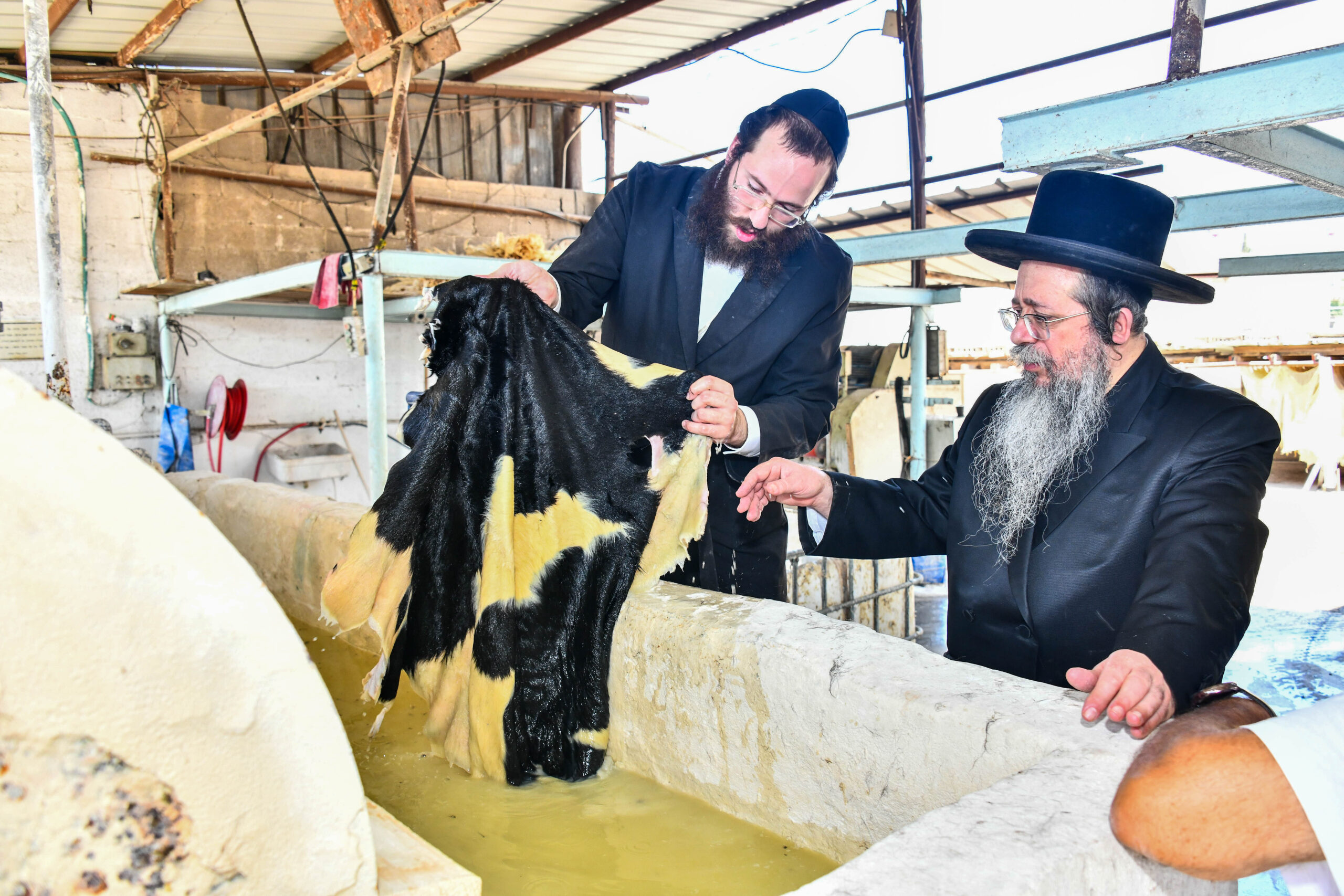 האדמו”ר עמל בעצמו לעבד את העורות במפעל