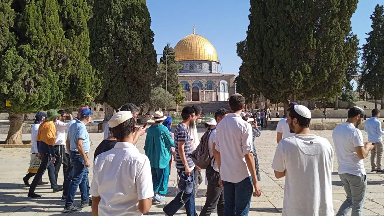 חנוך מנסבך השתחווה בהר הבית – נעצר והורחק