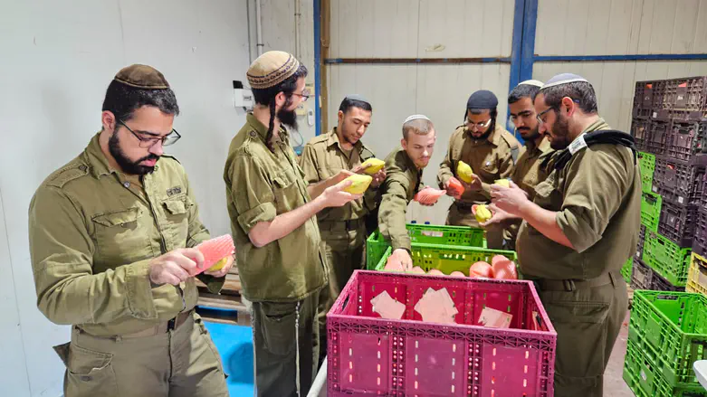 בצל המלחמה: הרבנות הצבאית נערכת לחגים