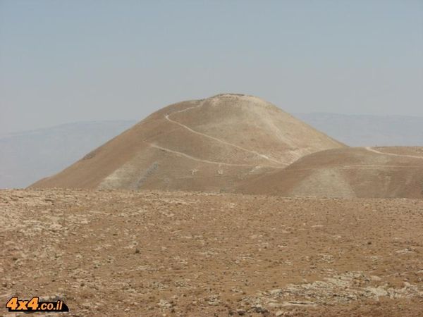 הסרטבה