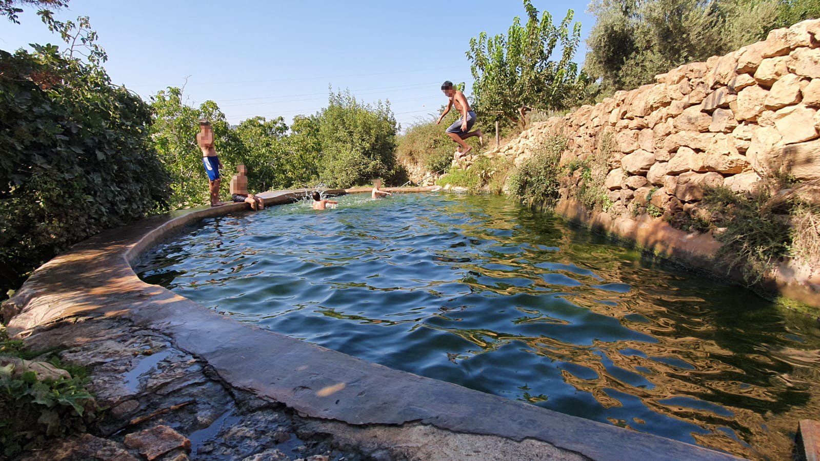 “עין לבן”: המעיין הירושלמי שמוקף עצי תאנה, אגוז, שקד ותות