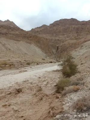 שלוש מטיילות נעדרו במדבר יהודה – אחת מהן אותרה ללא רוח חיים