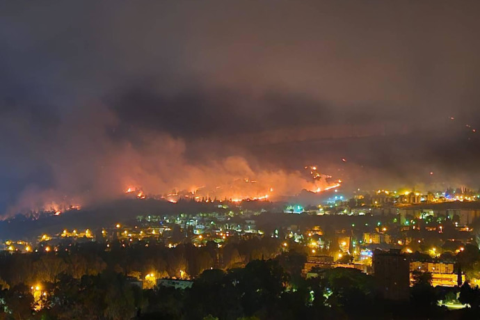 חתולים או אריות? בצפון מזהים הזדמנות להחזרת ההרתעה