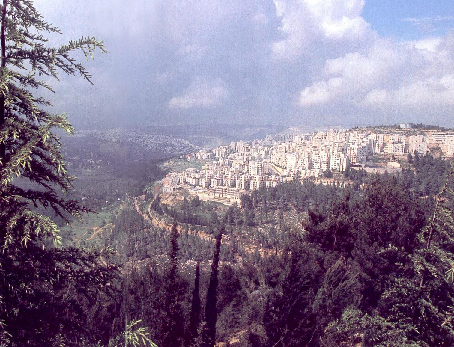 בקרוב נראה טיילת ייחודית בשכונה החרדית בירושלים? | כל הפרטים