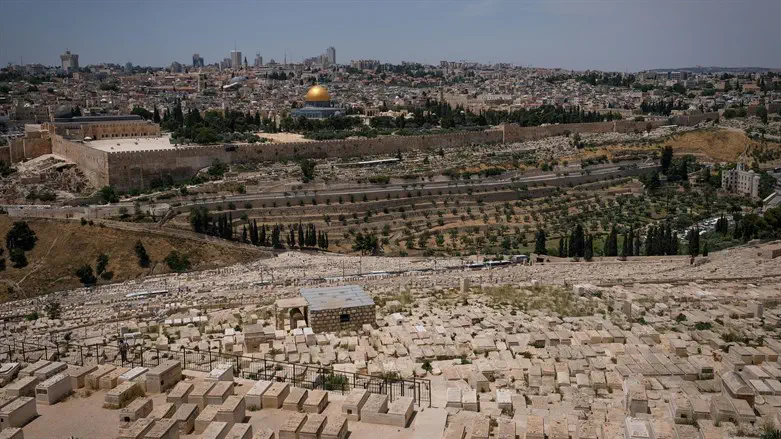 לימוד ליל הושענה רבה בהר הזיתים