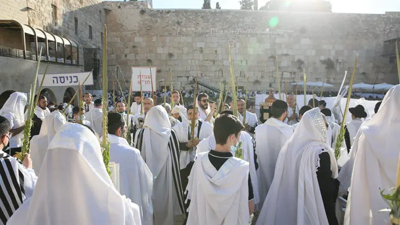 תקלה ומבוכה: אחת מסוכות הכותל נמצאה פסולה