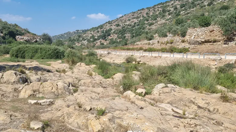 טיול  למערב השומרון: אל בריכות המים בנחל קנה