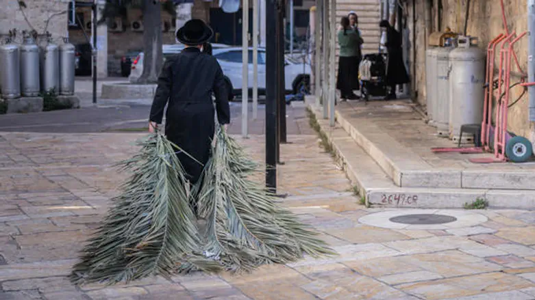 הסוכות בבני ברק שהפכו לחדרי מגורים בלתי חוקיים