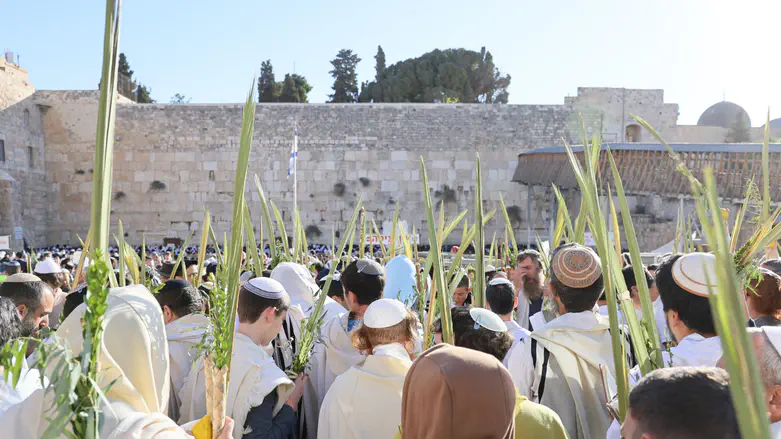 צפו: הושענא רבה בכותל המערבי