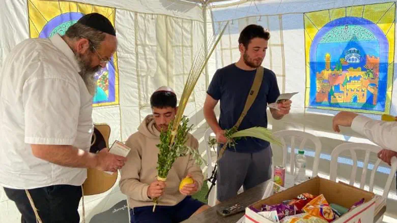 לולב בכל פינה: רבבות נטלו ארבעה מינים בסוכות חב”ד