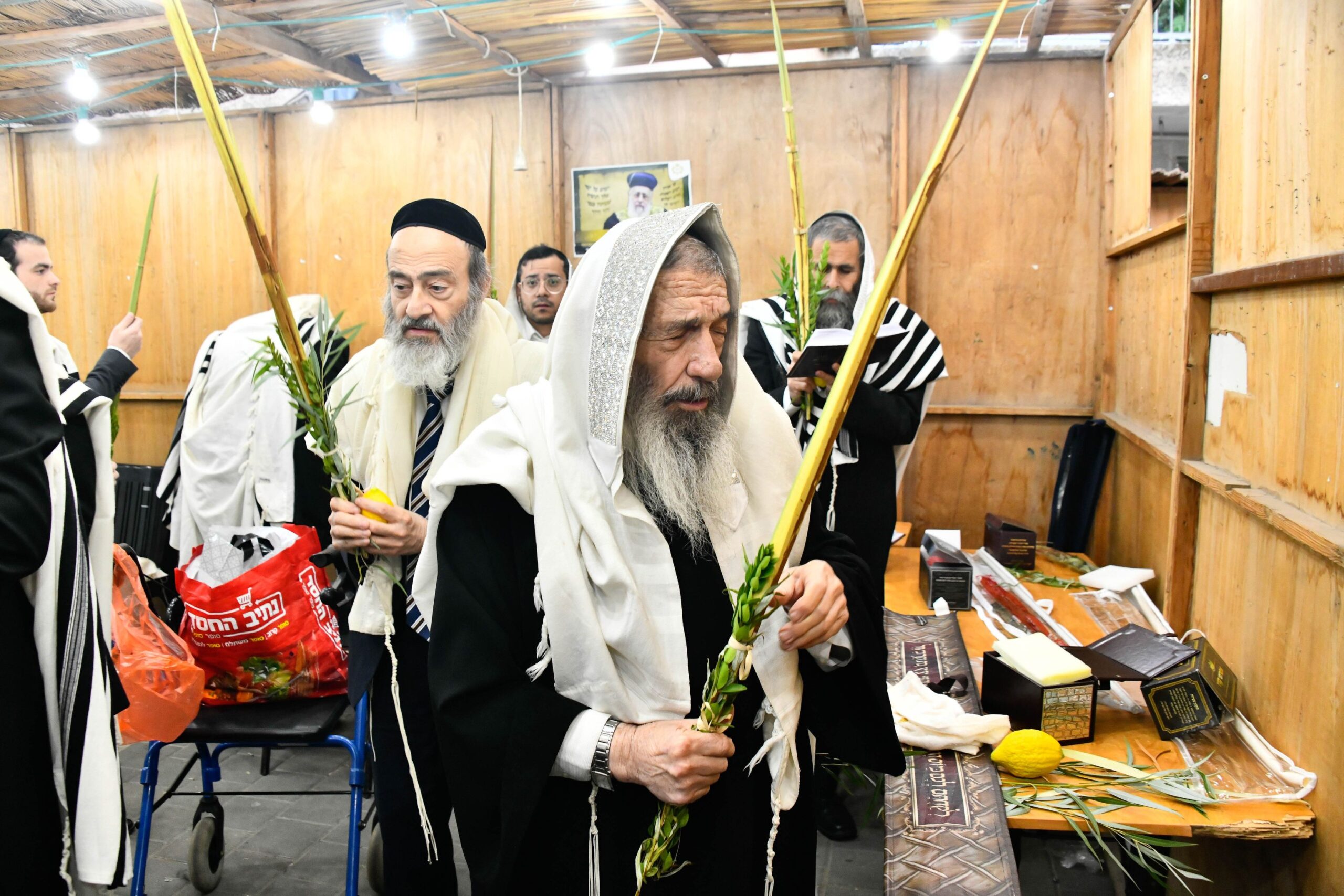 בסוכה ובבית המדרש | הנענועים של חכם ניסים בן שמעון