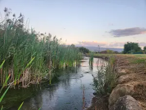 ידענו על המנהרות וידענו שאנחנו מופקרים: תושבי הצפון שסירבו לעזוב