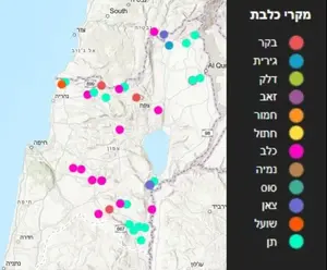 המחלה הקטלנית: החולה בכלבת הוא רועה צאן, כלבו לא היה מחוסן