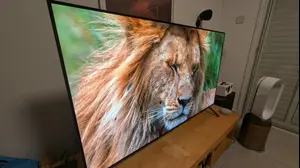 LG 55B4: טלוויזיית OLED עם תמורה לכסף