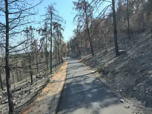 נזק אדיר לריאות הירוקות בצפון: כ-230 אלף דונם מיערות הגליל והגולן נשרפו במלחמה