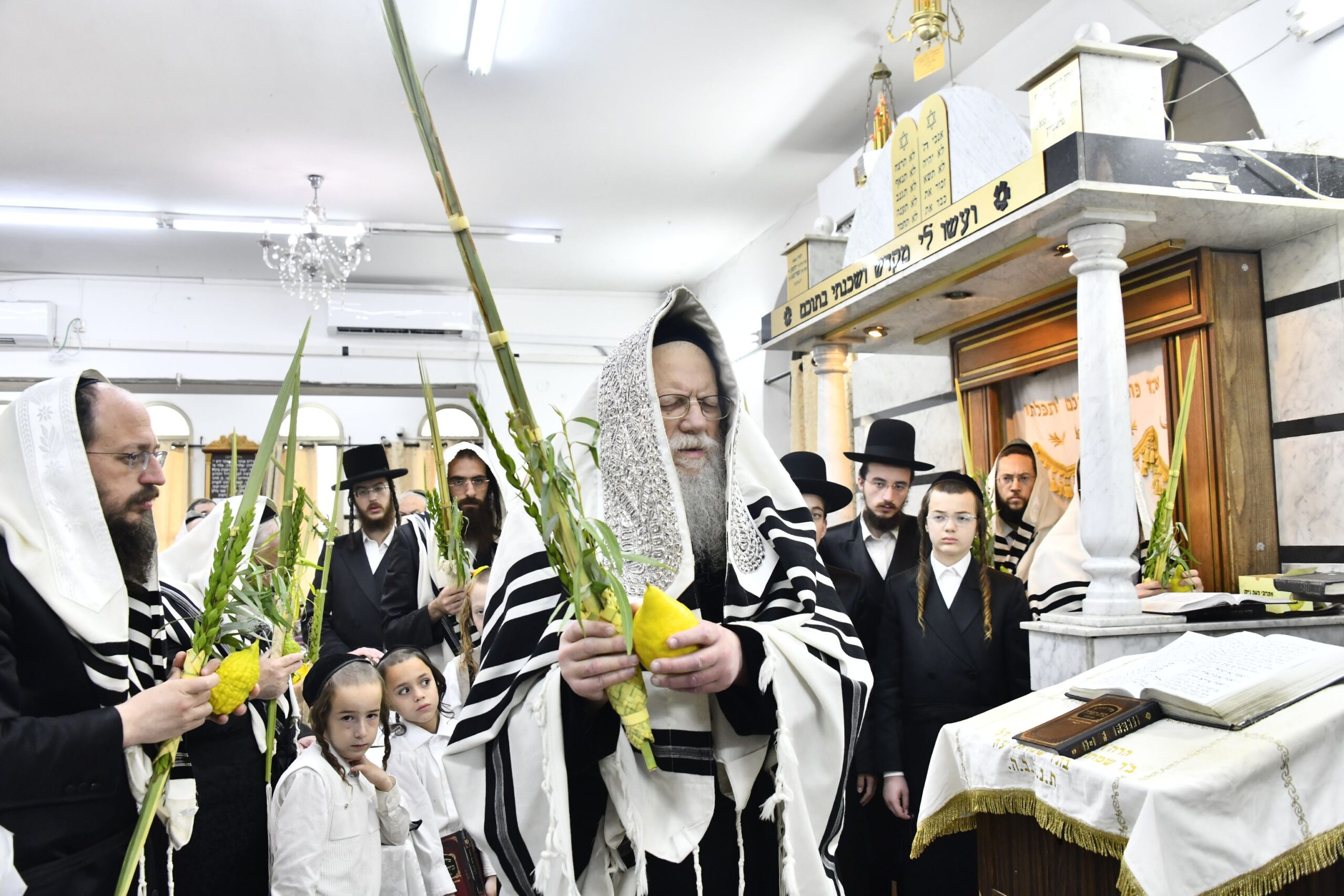 עם אתרוג ענק: צפו בעבודת הנענועים של האדמו”ר ממודז’יץ