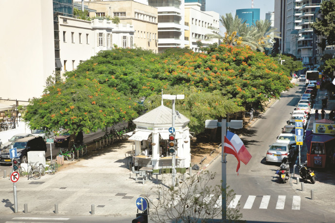 שב”חים בקירור: שלושה פלסטינים הסתתרו במקרר מזון בתל אביב