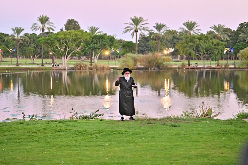 תשליך ב’פארק הלאומי’, ו’אויספעסטן’ עם הנגידים: יום הכיפורים בחצר ויז’ניץ