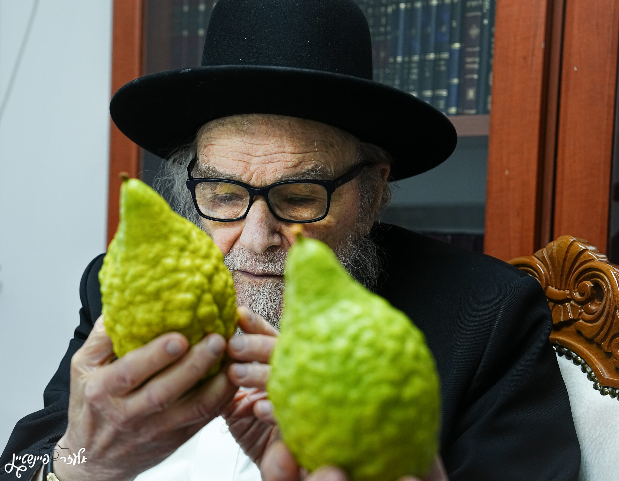 ההבדל הדק בין אתרוג לאתרוג | כך בחר ראש הישיבה אתרוג לחג 