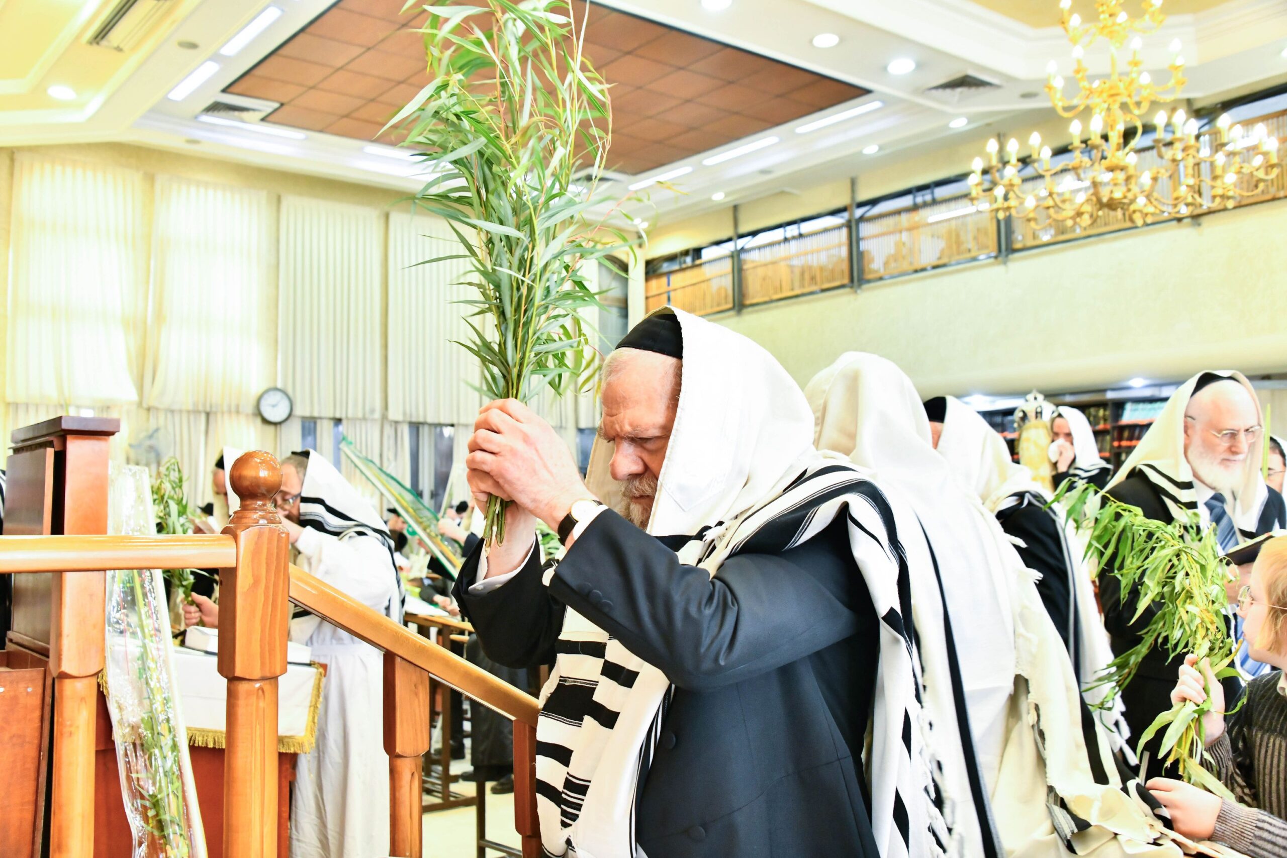 למעלה, למטה | ‘הושענא רבה’ אצל הגרמ”ש אדלשטיין 