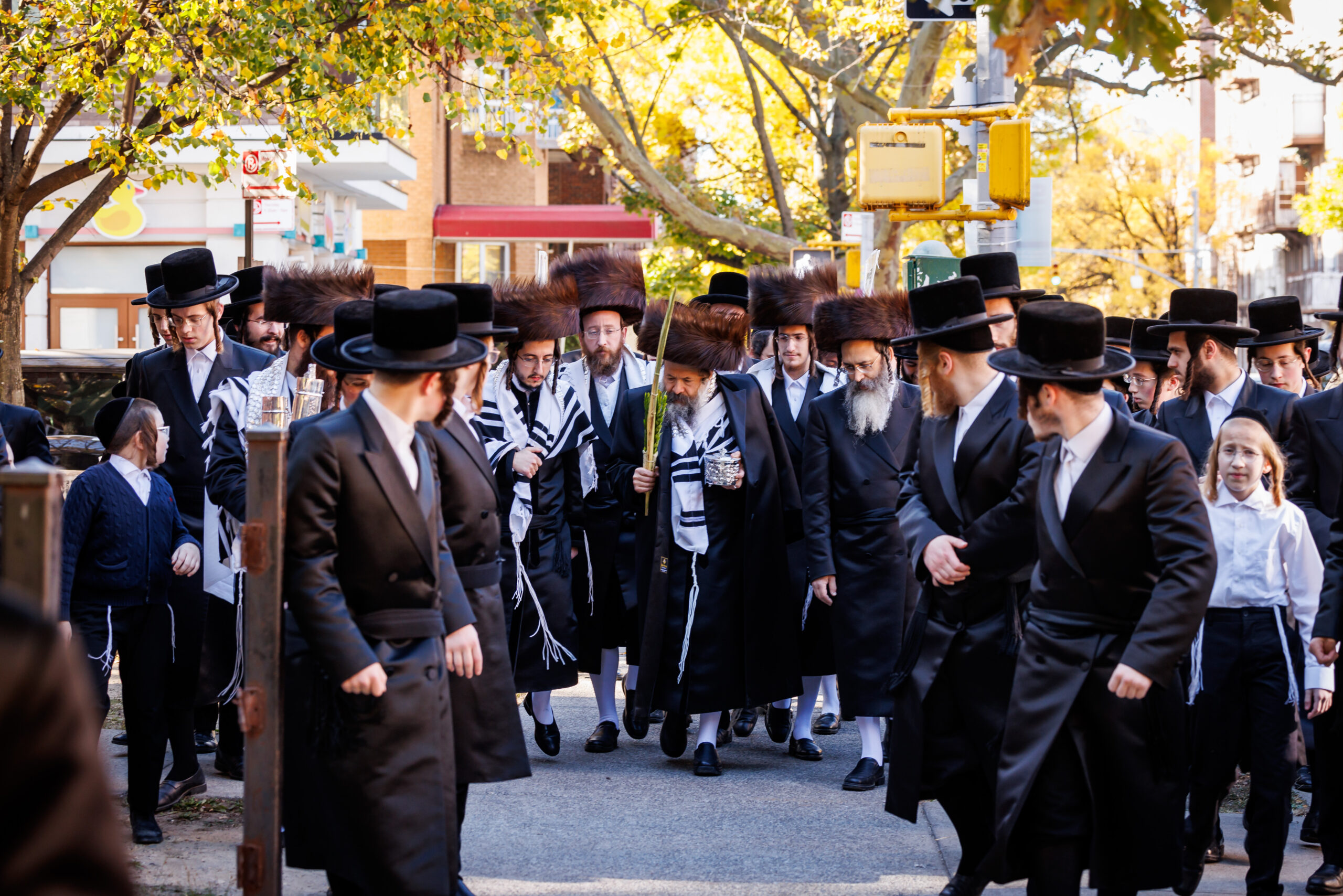 הוד והדר: חג הסוכות בחצה”ק באבוב 45 | תיעוד מסכם