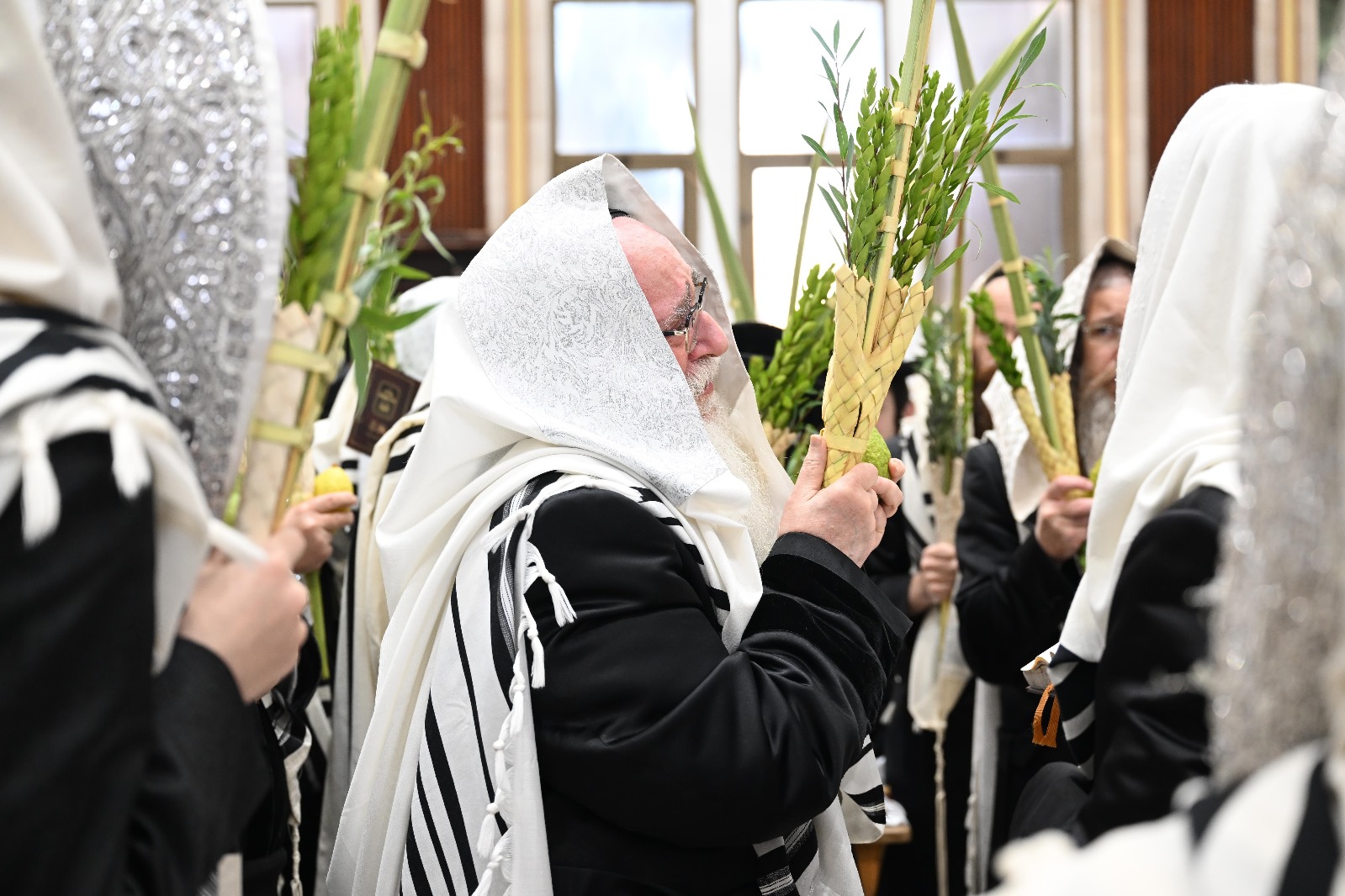 ‘לגיא בל תרשיע’: על מי כיוון האדמו”ר בעת אמירת ה’הושענות’?