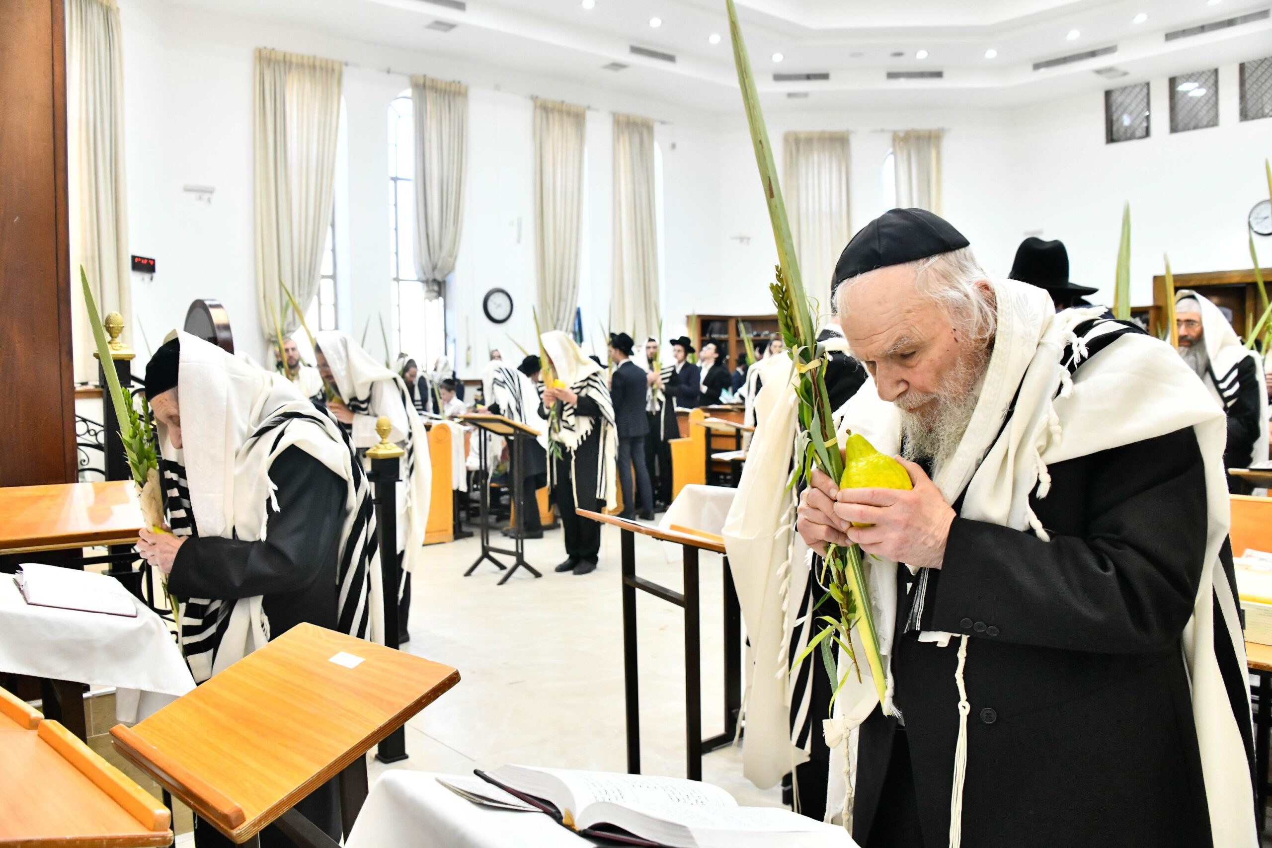 גבעת הישיבה: המונים בתפילת ‘הושענא רבה’ עם גדולי הדור 