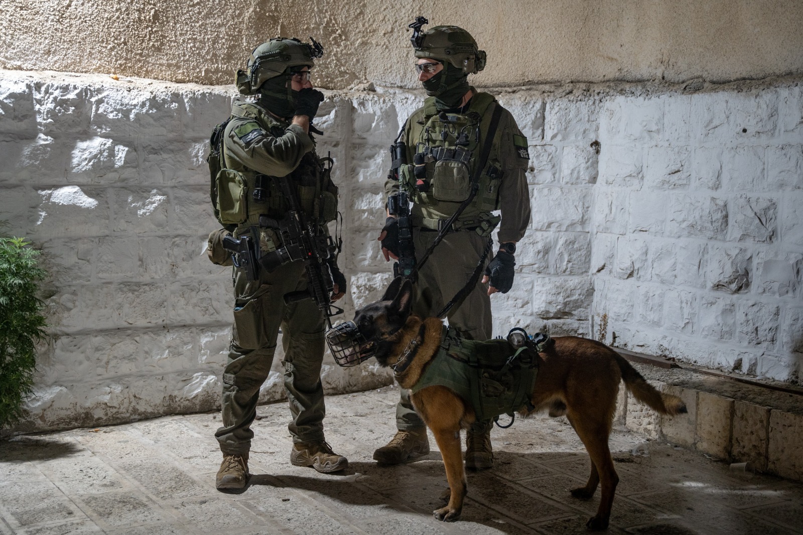 חול המועד ביו”ש: מעצר מבוקשים ותפילות בקברי הצדיקים