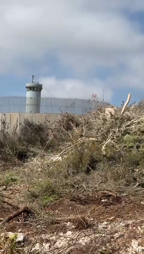 התקרית בלבנון: צה”ל חושף – הלוחמים טווחו בשטח, כוחות יוניפי”ל לא נפגעו