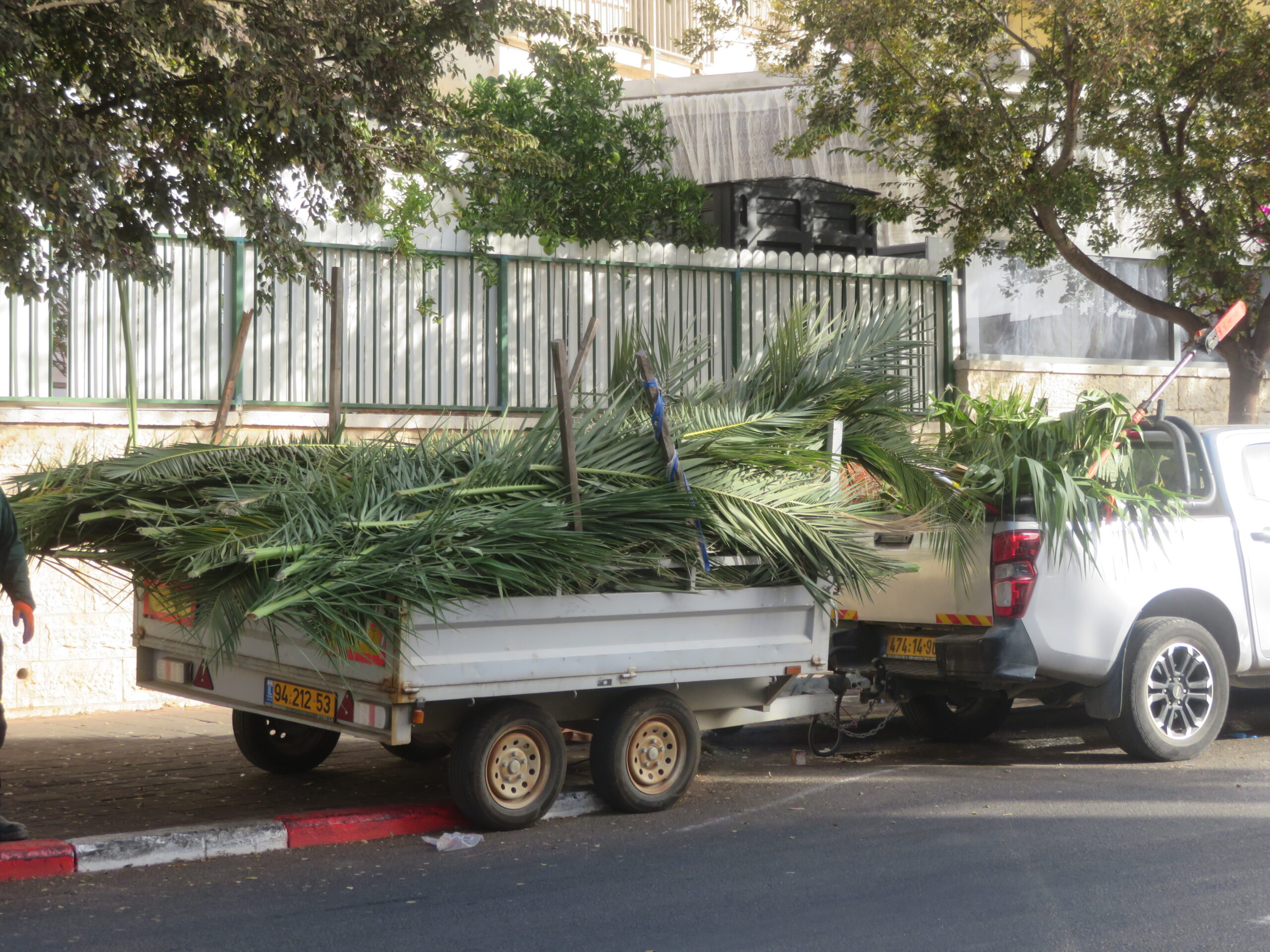 תיעוד מרהיב: אווירת ערב חג הסוכות בעיר אלעד 