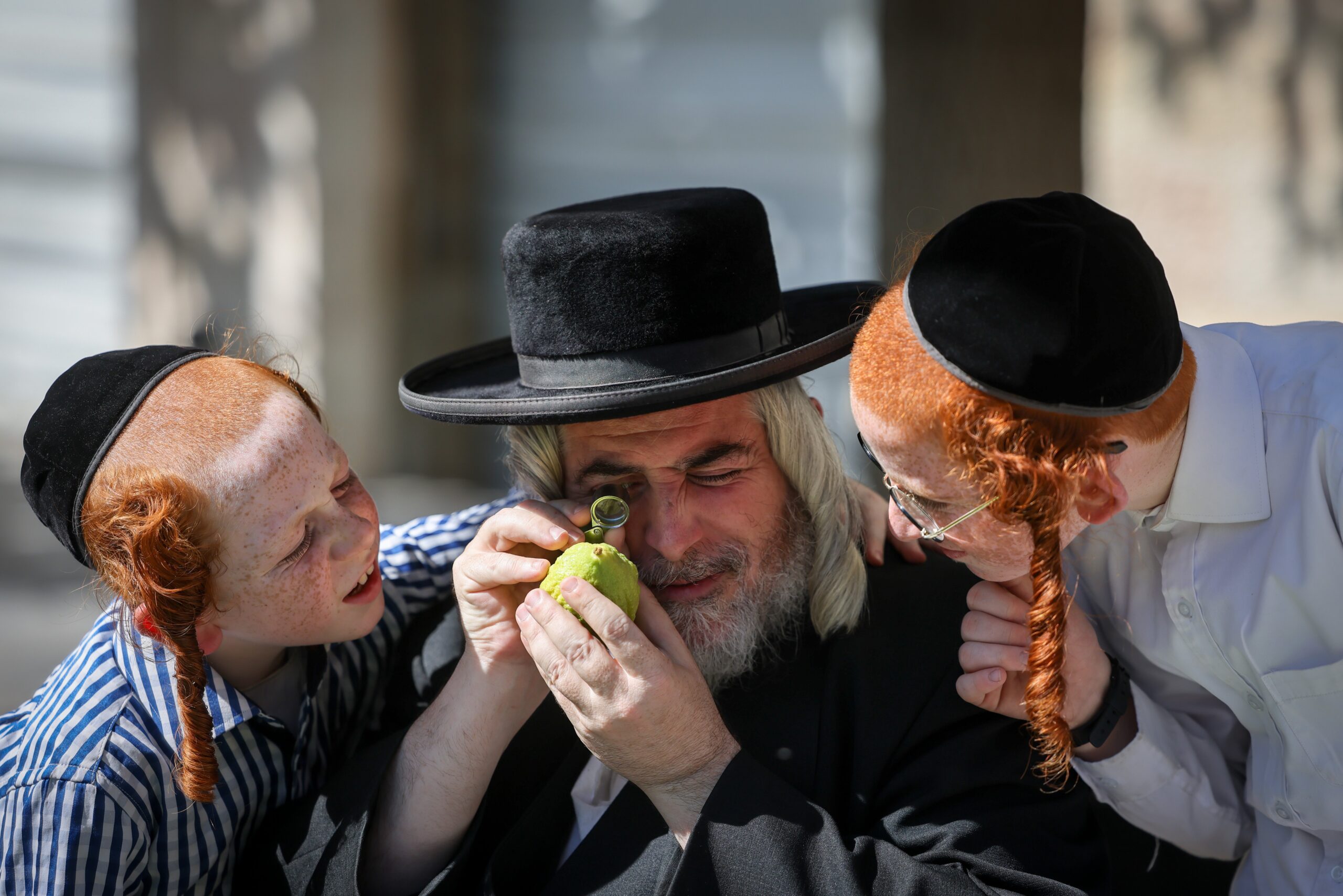 אתרוג כבר בחרתם? כעת בואו לשמוע עליו סקירה מרתקת | מהמצאת ההרכבה ועד היום