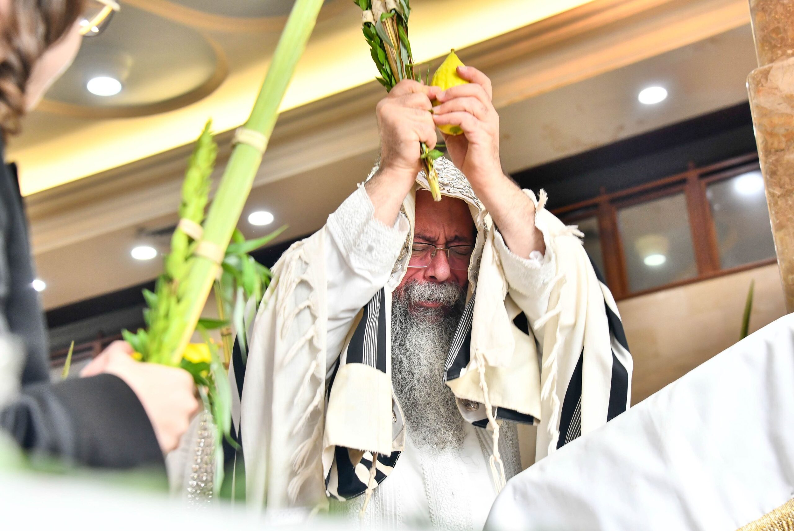 בבגדי לבן: צפו בנענועי האדמו”ר מ’שבט הלוי’ 