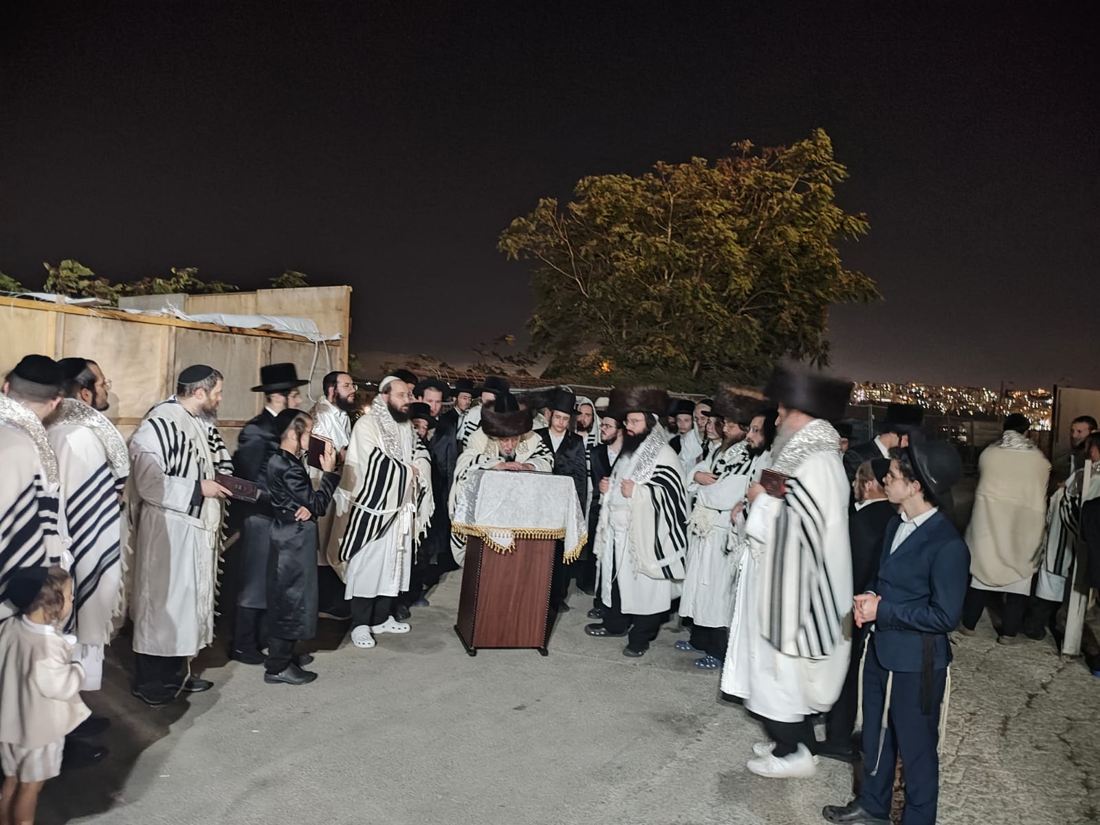 הוציאו תיבה לרחובה של עיר: כך קידש האדמו”ר מקופיטשניץ את הלבנה 