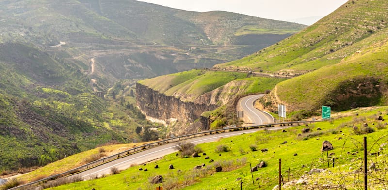 צה”ל יירט כטב”ם ברמת הגולן; המיליציות בעיראק לקחו אחריות