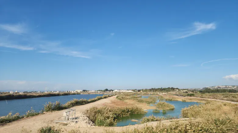 נחנך פארק הצפרות המשודרג במעגן מיכאל